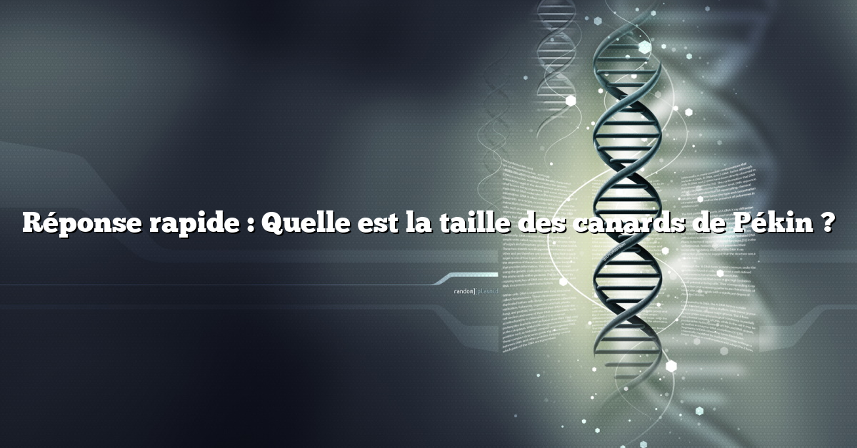 Réponse rapide : Quelle est la taille des canards de Pékin ?